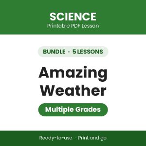 Amazing Weather - BUNDLE (5 Lessons)